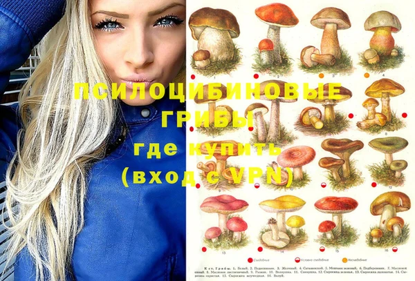 альфа пвп Верхний Тагил