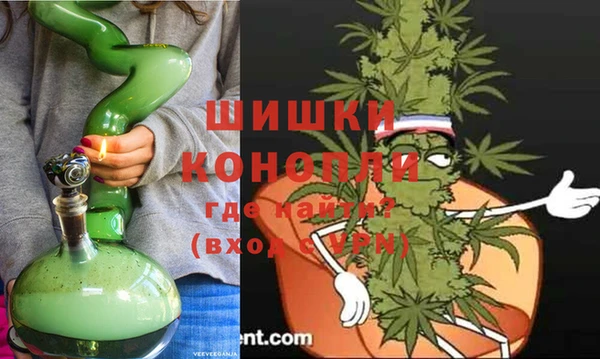 прущие грибы Богородицк