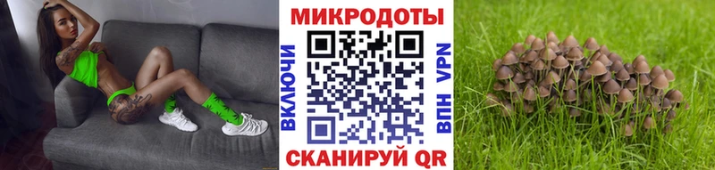 Псилоцибиновые грибы Cubensis Воткинск
